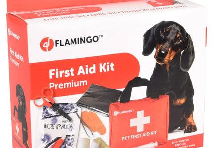 Flamingo Resku Premium First Aid Kit – Large Size, Comprehensive Emergency Care Set