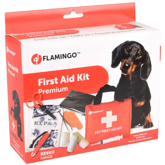 Flamingo Resku Premium First Aid Kit – Large Size, Comprehensive Emergency Care Set