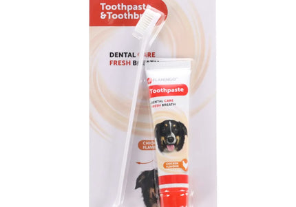 Flamingo Dafra Toothpaste and Toothbrush Set – Complete Oral Hygiene Kit, Gentle Cleaning Formula