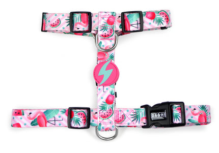 Dashi Flamingo Back Harness – Adjustable Guard Harness with Vibrant Flamingo Pattern, Size S
