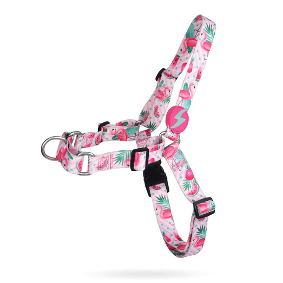Dashi Flamingo Front Harness – No-Pull Norwegian Dog Harness, Medium, Vibrant Flamingo Pattern
