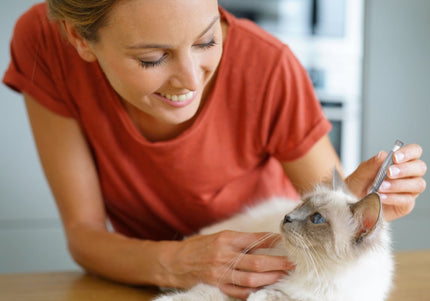 Flamingo Tick Remover Bobby – Precision Tool with Easy-Grip Handle, Safe Tick Extraction