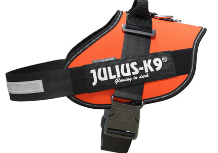 Julius-K9 IDC Powerharness UV Orange – Premium Adjustable Harness, Size 4, High-Visibility Design
