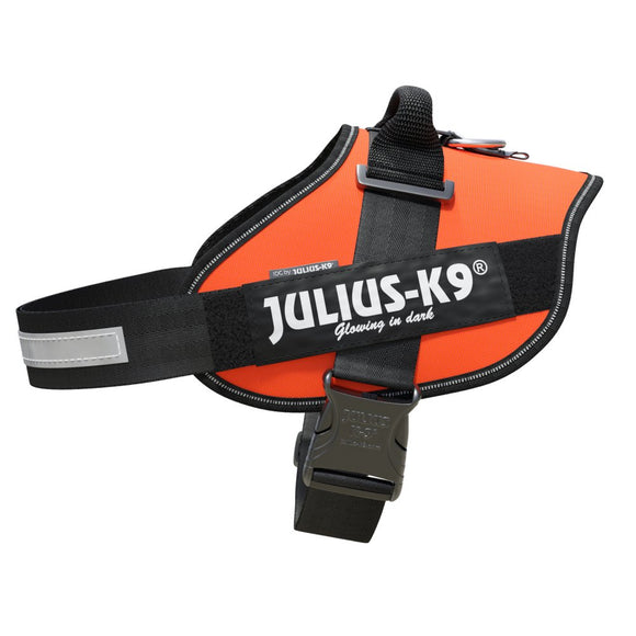 Julius-K9 IDC Powerharness UV Orange – Premium Adjustable Harness, Size 4, High-Visibility Design
