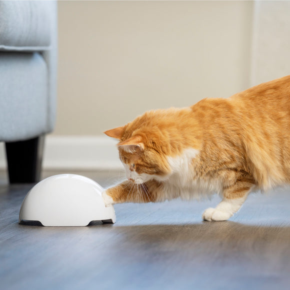 PetSafe Fox Den Automatic Cat Teaser – Interactive Motion Toy with Realistic Fox Tail