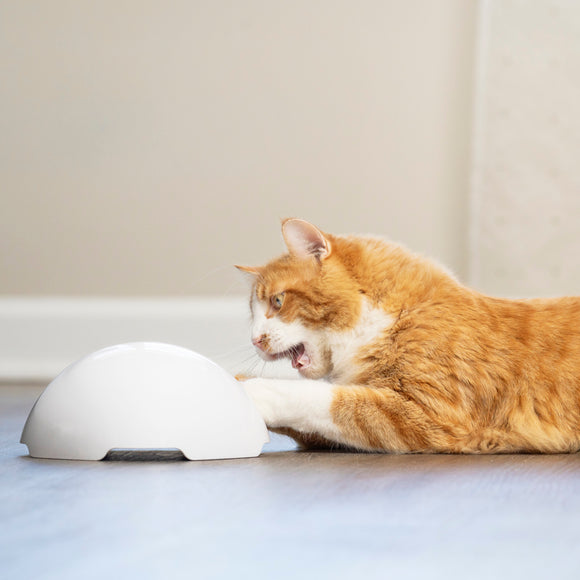 PetSafe Fox Den Automatic Cat Teaser – Interactive Motion Toy with Realistic Fox Tail