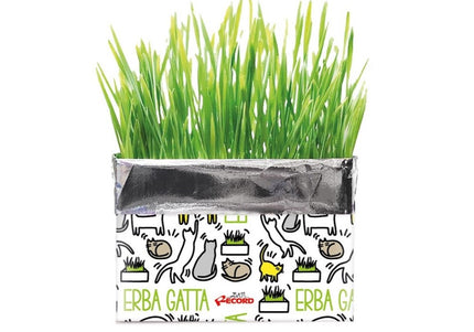 Record Erba Gatta Cat Grass Kit – 120g Rye Seeds, Easy-Grow Solution for Hairball Control