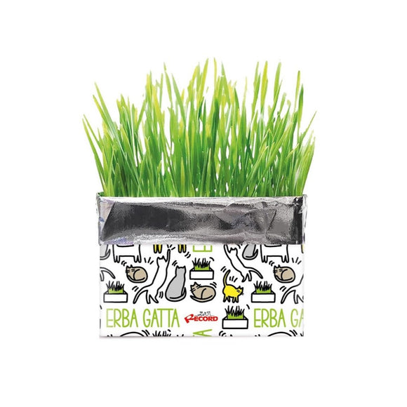 Record Erba Gatta Cat Grass Kit – 120g Rye Seeds, Easy-Grow Solution for Hairball Control