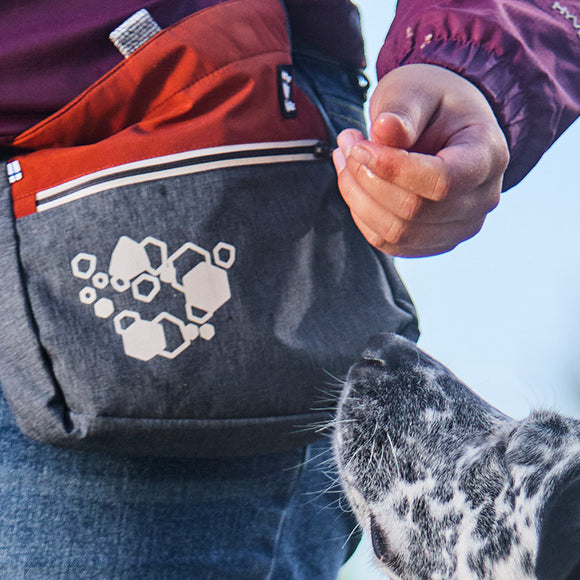 Hurtta Treat Pocket Eco Hedge Mix – Durable Training Pouch with Eco-Friendly Fabric and Secure Closure