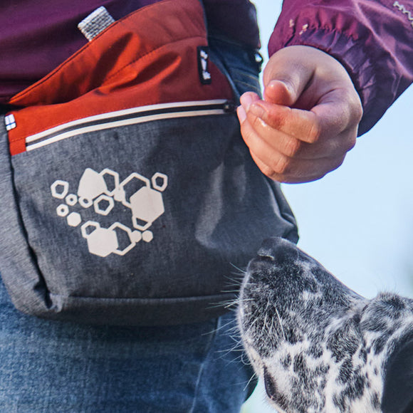 Hurtta Treat Pocket Eco Blackberry Mix – Durable Training Pouch with Secure Closure and Easy Access