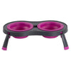 Fuchsia / Big