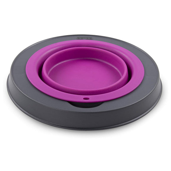 Dexas Popware Collapsible Raised Feeder 946ml – Foldable Elevated Dog Bowl, Fuchsia, Space-Saving Design