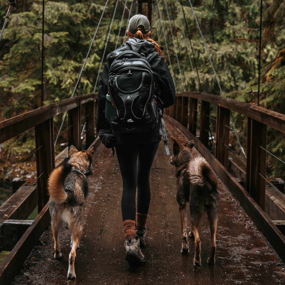 Kurgo G-Train K9 Pack Black – Versatile Pet Backpack, Durable Design with Comfort Padding