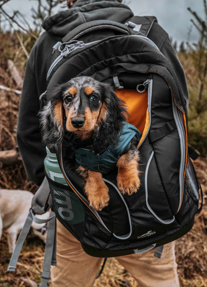 Kurgo G-Train K9 Pack Black – Versatile Pet Backpack, Durable Design with Comfort Padding