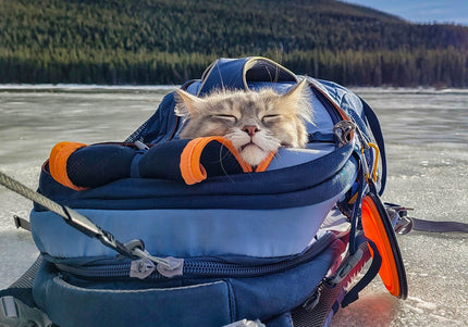 Kurgo G-Train K9 Pack Navy – Versatile Pet Backpack, Durable Water-Resistant Design, Navy Blue