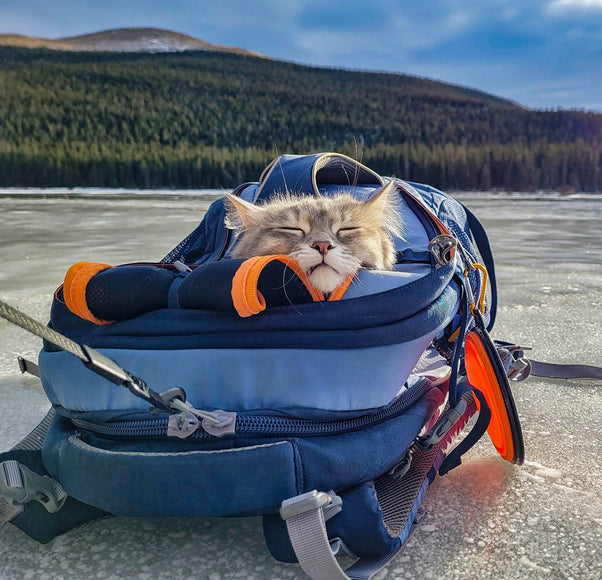 Kurgo G-Train K9 Pack Navy – Versatile Pet Backpack, Durable Water-Resistant Design, Navy Blue