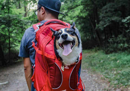 Kurgo G-Train K9 Pack Red – Ergonomic Pet Carrier Backpack, Durable Water-Resistant Design