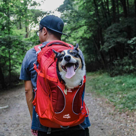 Kurgo G-Train K9 Pack Red – Ergonomic Pet Carrier Backpack, Durable Water-Resistant Design