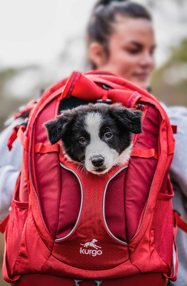 Kurgo G-Train K9 Pack Red – Ergonomic Pet Carrier Backpack, Durable Water-Resistant Design