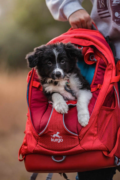 Kurgo G-Train K9 Pack Red – Ergonomic Pet Carrier Backpack, Durable Water-Resistant Design