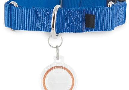 PetSafe Microchip Cat Flap Key – Electronic Access Key, Secure Entry Solution