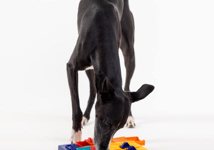 Pawzler Interactive Dog Puzzle Genius Set – Modular Enrichment Toy, 7-Piece Brain Challenge