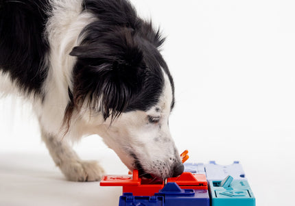 Pawzler Interactive Dog Puzzle Genius Set – Modular Enrichment Toy, 7-Piece Brain Challenge