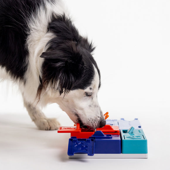 Pawzler Interactive Dog Puzzle Genius Set – Modular Enrichment Toy, 7-Piece Brain Challenge