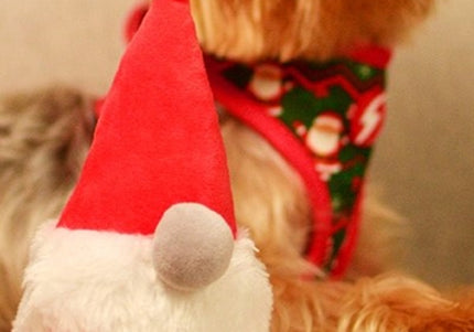 Dashi Xmas Plush Gnome Dog Toy – Soft 15cm Squeaky Christmas Plush Character