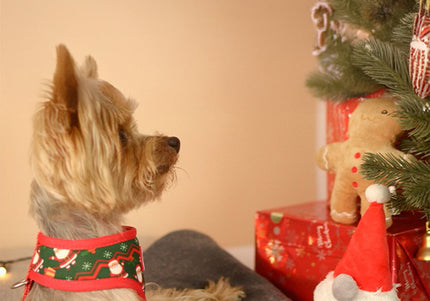 Dashi Xmas Plush Gnome Dog Toy – Soft 15cm Squeaky Christmas Plush Character