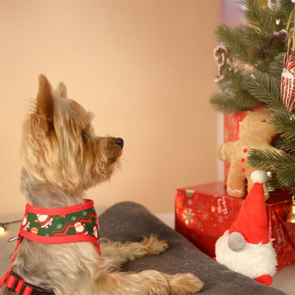 Dashi Xmas Plush Gnome Dog Toy – Soft 15cm Squeaky Christmas Plush Character