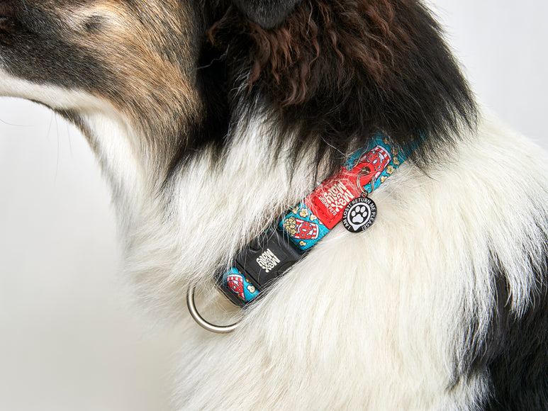 Max&Molly Gotcha! Lost & Found Collar Tag – Smart Pet ID with Owner Contact Feature