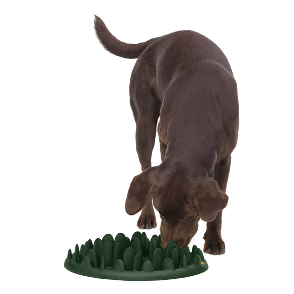 Northmate Green Slow Feeder Bowl – Durable Dark Green Anti-Gulping Design, Promotes Healthy Eating