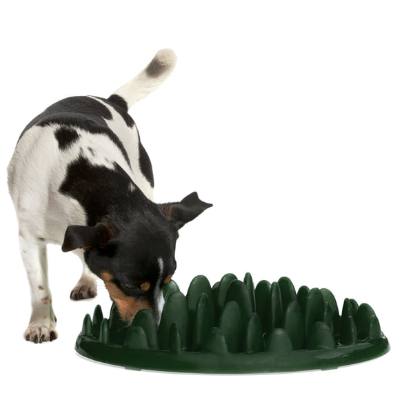 Northmate Green Slow Feeder Bowl – Durable Dark Green Anti-Gulping Design, Promotes Healthy Eating