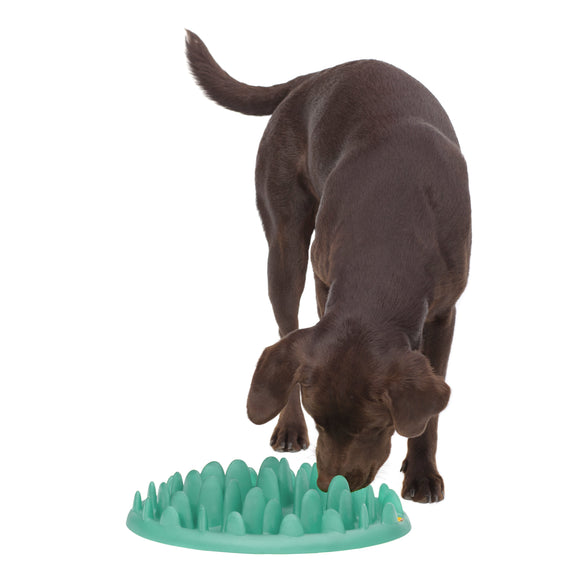 Northmate Green Slow Feeder Bowl – Durable Dark Green Anti-Gulping Design, Promotes Healthy Eating