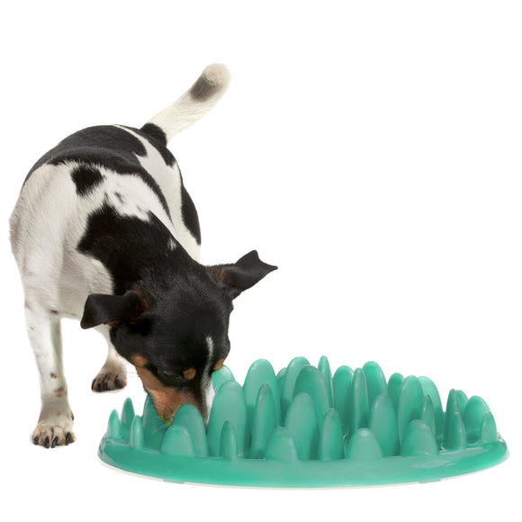 Northmate Green Slow Feeder Bowl – Durable Dark Green Anti-Gulping Design, Promotes Healthy Eating