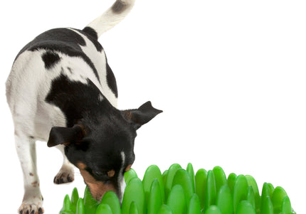 Northmate Green Slow Feeder Bowl – Durable Dark Green Anti-Gulping Design, Promotes Healthy Eating