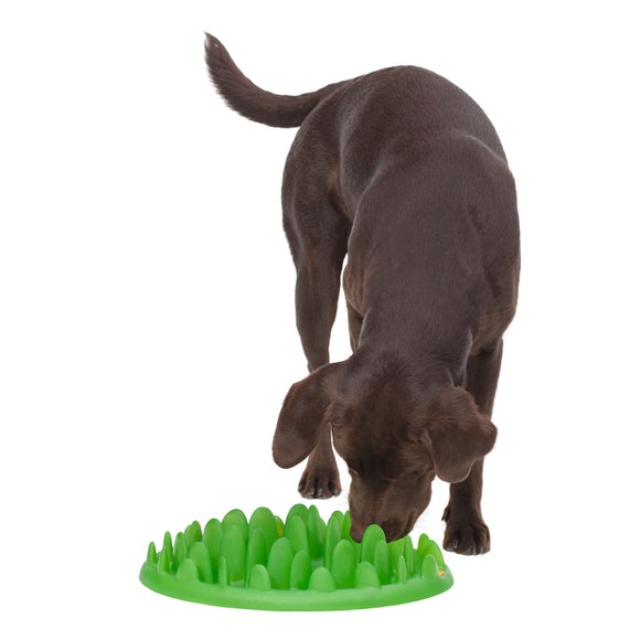Northmate Green Slow Feeder Bowl – Durable Dark Green Anti-Gulping Design, Promotes Healthy Eating