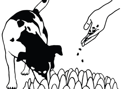 Northmate Green Slow Feeder Bowl – Durable Dark Green Anti-Gulping Design, Promotes Healthy Eating