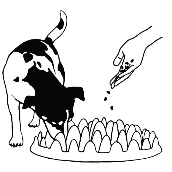 Northmate Green Slow Feeder Bowl – Durable Dark Green Anti-Gulping Design, Promotes Healthy Eating