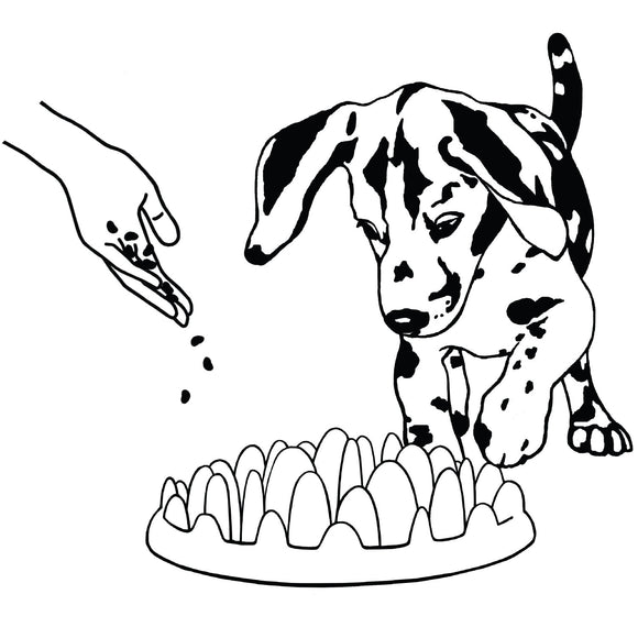 Northmate Green Mini Slow Feeder Bowl – Durable Interactive Design, Promotes Healthy Eating