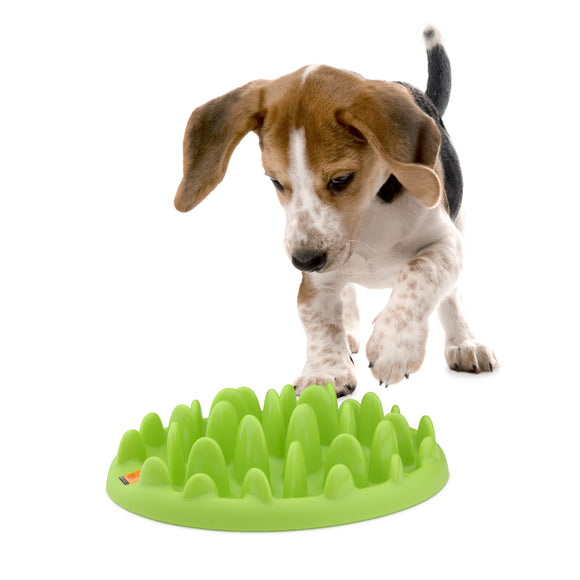 Northmate Green Mini Slow Feeder Bowl – Durable Interactive Design, Promotes Healthy Eating