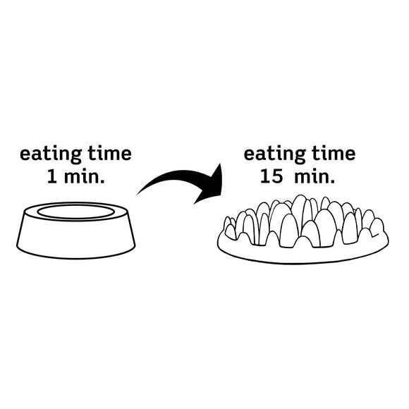 Northmate Green Mini Slow Feeder Bowl – Durable Interactive Design, Promotes Healthy Eating