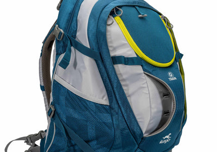 Kurgo G-Train K9 Pack – Navy Blue Pet Carrier Backpack, Lightweight and Durable Design