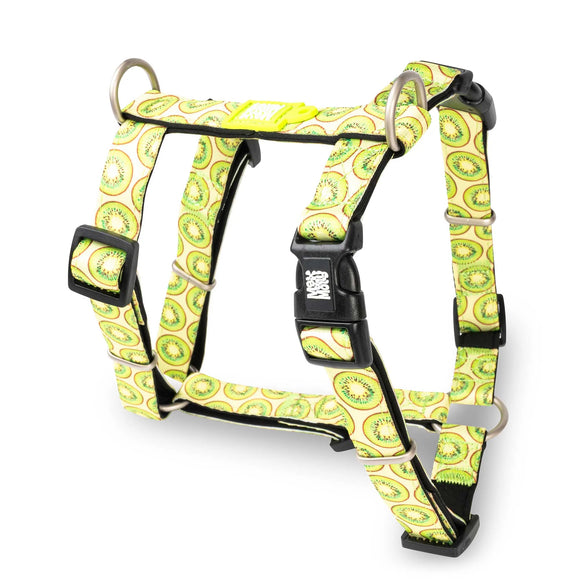 Max&Molly Kiwi H-Harness XS – Colorful Adjustable Design, Lightweight Comfort