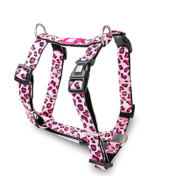 Max&Molly Leopard Pink H-Harness – Adjustable Colorful Design, Medium Size