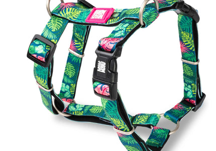 Max&Molly Tropical H-Harness – Colorful Adjustable Medium Harness with Secure Fit