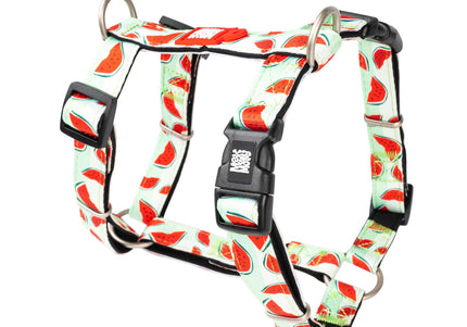 Max&Molly Watermelon H-Harness – Colorful Adjustable Design, Medium Size, Comfortable Fit