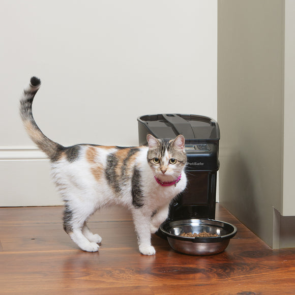 PetSafe Healthy Pet Simply Feed Automatic Food Dispenser – Programmable 12-Meal Capacity, Reliable Portion Control