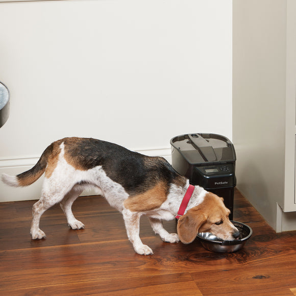 PetSafe Healthy Pet Simply Feed Automatic Food Dispenser – Programmable 12-Meal Capacity, Reliable Portion Control